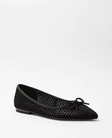 Ann Taylor Perforated Suede Pointy Toe Ballet Flats