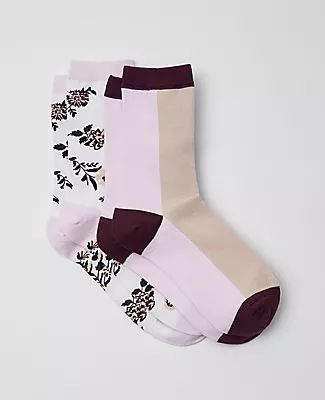 Ann Taylor Floral & Colorblock Trouser Sock Set