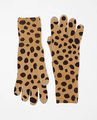 Ann Taylor Animal Print Cashmere Gloves