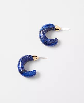 Ann Taylor Marbleized Hoop Earrings