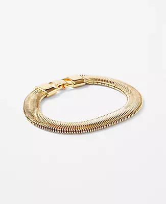 Ann Taylor Chunky Snake Chain Bracelet