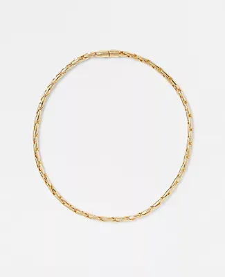 Ann Taylor Delicate Chain Necklace