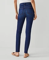 Ann Taylor High Rise Skinny Jeans Dark Vintage Wash