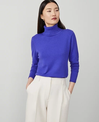 Ann Taylor Modern Turtleneck Sweater Women's