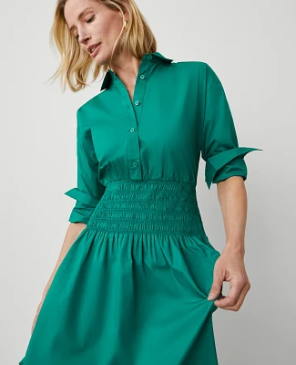 Ann Taylor Flare Midi Shirtdress Shady Glade Women's