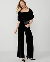 Ann Taylor The Perfect Wide-Leg Pant Drapey Velvet Black Women's