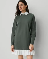 Ann Taylor Ponte Sweatshirt Mini Dress Dried Cilantro Women's