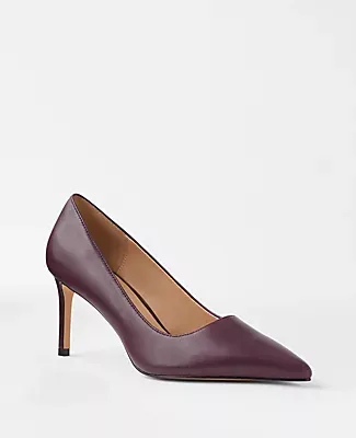 Ann Taylor Leather Pointy Toe Straight Heel Pumps