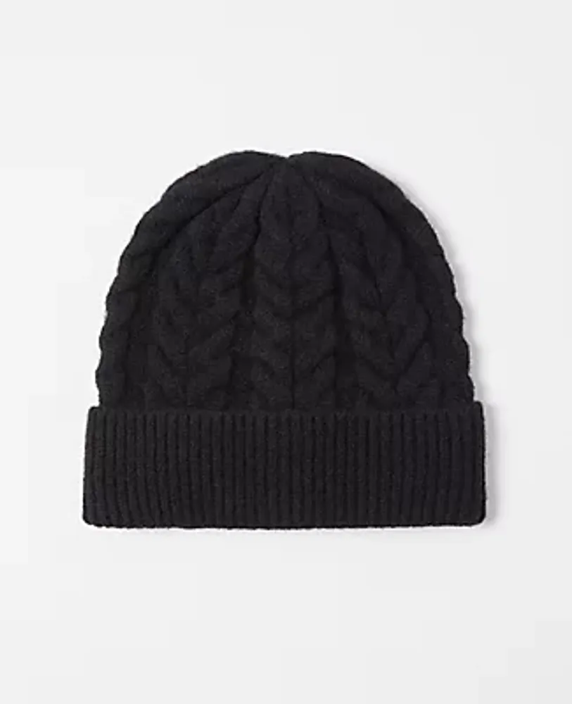 Ann Taylor Cable Knit Hat
