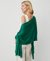 Ann Taylor Oversized Wrap Scarf Women's