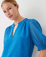 Ann Taylor Chiffon Clip Ruffle Neck Popover Top