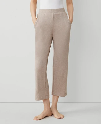 Ann Taylor Wide Leg Lounge Pants Driftwood Heather Women's