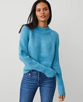 Ann Taylor Raglan Wedge Sweater Women's