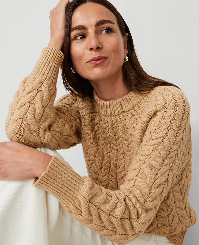 Ann Taylor Cable Chunky Neck Sweater Women's