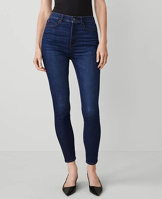 Ann Taylor High Rise Skinny Jeans Dark Vintage Wash