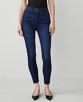 Ann Taylor High Rise Skinny Jeans Dark Vintage Wash