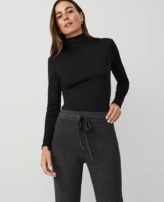 Ann Taylor Petite Weekend Collection Turtleneck Top Women's