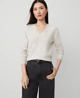 Ann Taylor Cashmere V-Neck Sweater Cream Speckle Women's