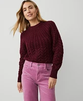 Ann Taylor Petite Cable Chunky Neck Sweater Women's