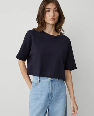 Ann Taylor Petite Dolman T-Shirt Women's