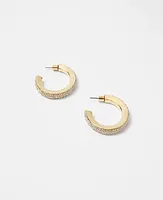 Ann Taylor Pave Side Hoop Earrings