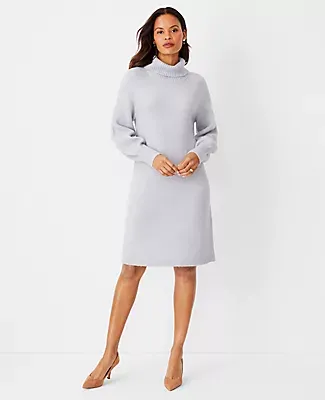 Ann Taylor Shimmer Raglan Sleeve Turtleneck Sweater Dress