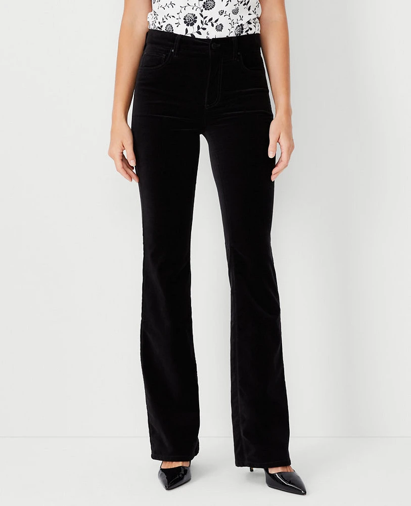 Ann Taylor The Petite Mid Rise Boot Pant Velvet Women's