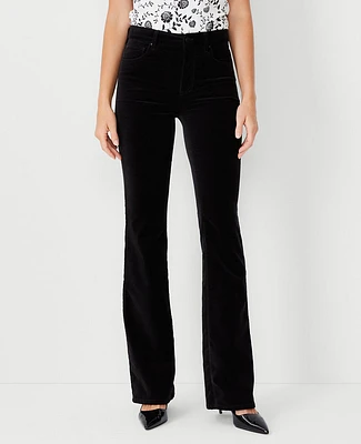 Ann Taylor The Petite Mid Rise Boot Pant Velvet Women's