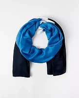 Ann Taylor Striped Scarf