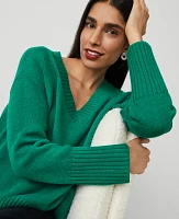 Ann Taylor Oversized V-Neck Sweater Women's