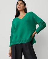 Ann Taylor Oversized V-Neck Sweater Women's