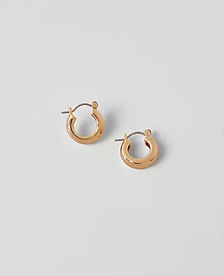 Ann Taylor Demi Fine Metal Mini Hoop Earrings