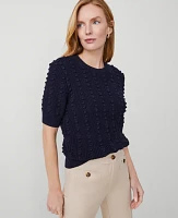 Ann Taylor Popcorn Stitch Sweater T-Shirt Women's