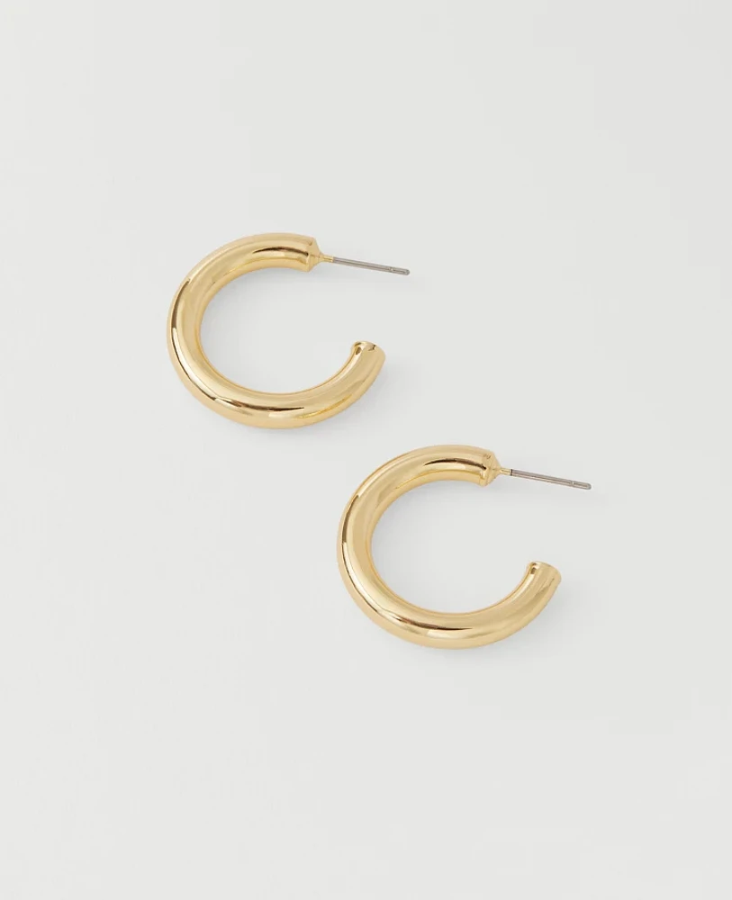 Ann Taylor Demi Fine Hoop Earrings Goldtone Women's