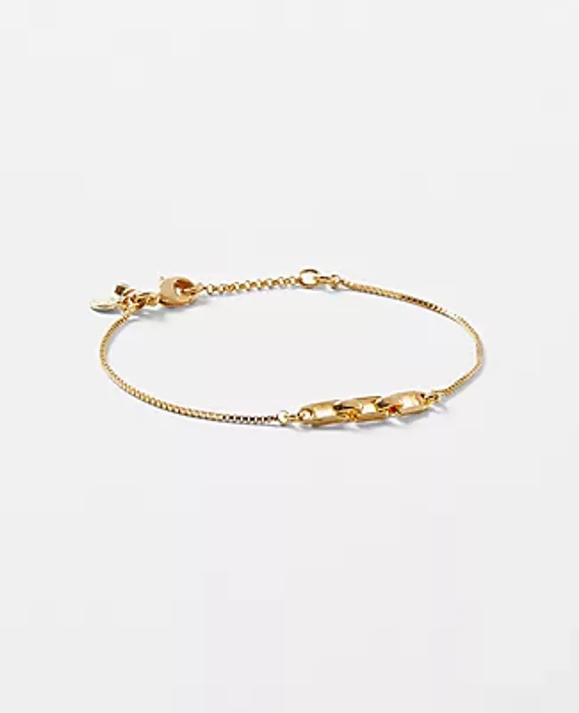 Ann Taylor Delicate Chain Bracelet