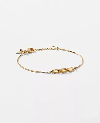 Ann Taylor Delicate Chain Bracelet