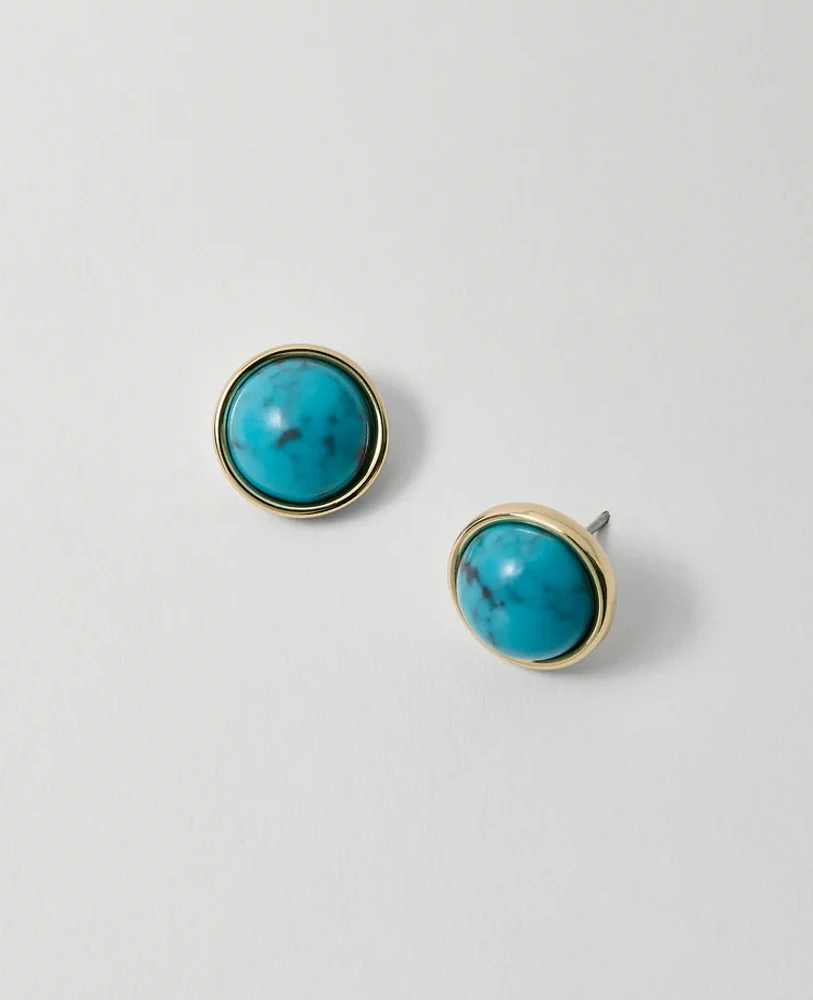 Ann Taylor Turquoise Stud Earrings Turquoise Ocean Women's