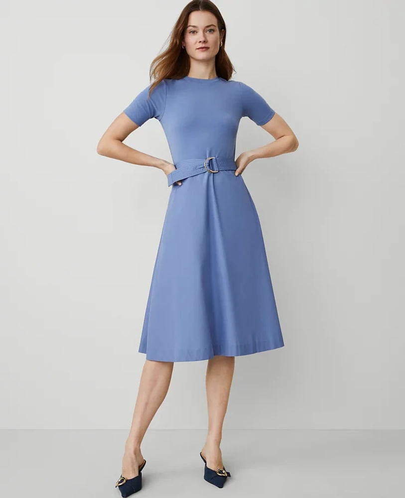 Ann Taylor Petite Flare Midi Dress Women's