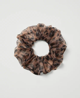 Ann Taylor Cheetah Scrunchie Brown Multi Women's