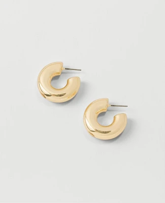 Ann Taylor Chunky Hoop Earrings Women's