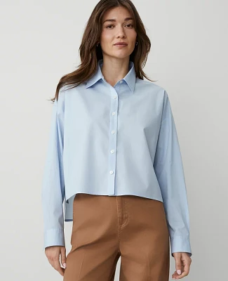Ann Taylor Side-Tie Shirt Size Large Pristine Blue Women's
