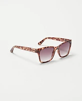 Ann Taylor Square Butterfly Sunglasses Women's