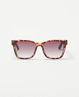 Ann Taylor Square Butterfly Sunglasses Women's