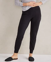 Ann Taylor Haven Well Within Balance Joggers Women's