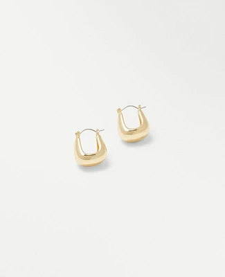 Ann Taylor Chunky Hoop Earrings Women's