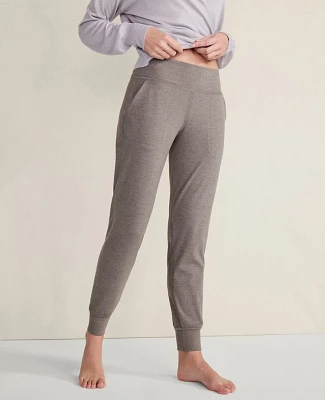 Ann Taylor Haven Well Within Balance Heather Joggers Shiitake Women's