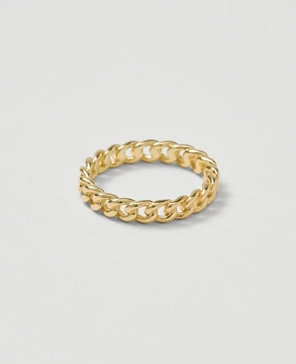 Ann Taylor Chain Link Ring Goldtone Women's