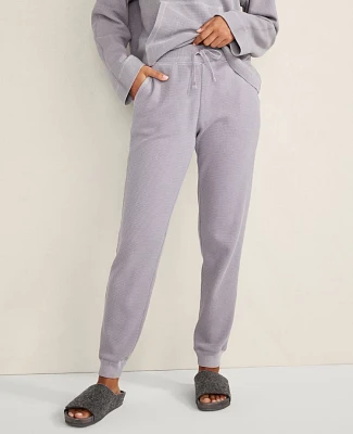 Ann Taylor Haven Well Within Garment-Dyed Organic Cotton Waffle Knit Joggers Minimal Grey Women's