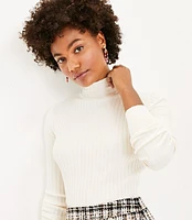 Ribbed Turtleneck Sweater