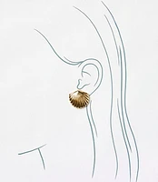 Metal Shell Stud Earrings